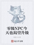 零级NPC今天也渴望升级